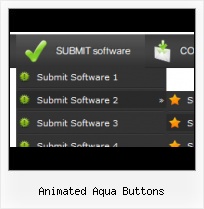 Flash Button Generator Aqua XP