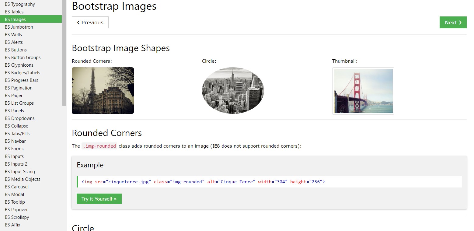 Bootstrap image  article