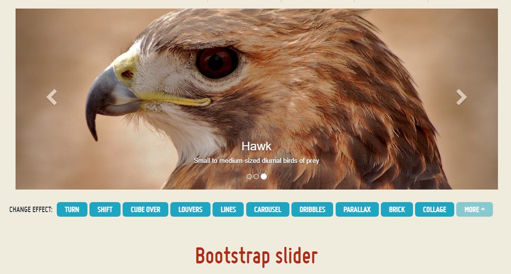  Bootstrap Gallery Slider 