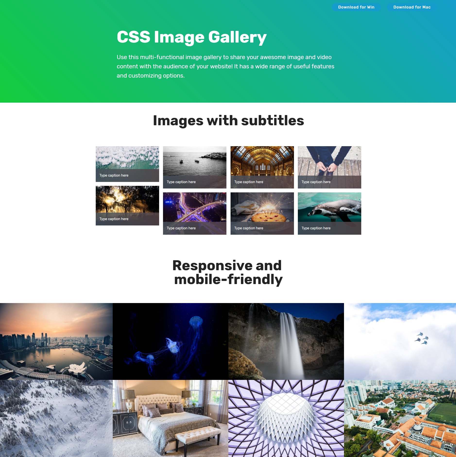 CSS Bootstrap Picture Gallery